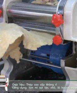 Máy mì tươi & hoành thánh DHH 200 C