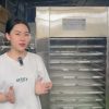 Máy Sấy Thực Phẩm 10 Khay Công Nghiệp