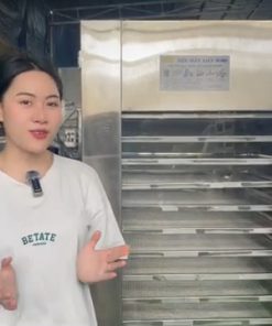 Máy Sấy Thực Phẩm 10 Khay Công Nghiệp