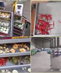 Máy sấy thực phẩm 10 khay – năng suất 30–50kg mỗi mẻ sấy