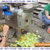 Máy thái rau củ quả 3 chức năng