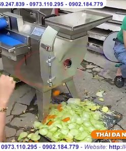 Máy thái rau củ quả 3 chức năng