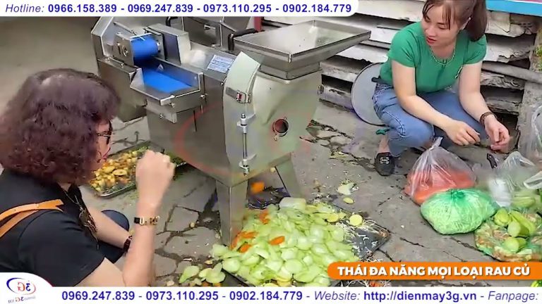 Máy thái rau củ quả 3 chức năng 2