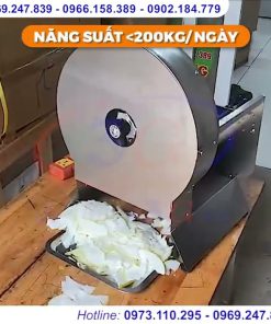 Máy thái rau củ quả bảo hành 12 tháng
