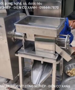 Máy vắt nước cốt gừng, nghệ, sả...