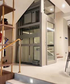 Người Singapore lắp thang máy gia đình hãng nào ?