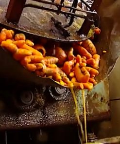 Quy trình sản xuất tinh bột nghệ