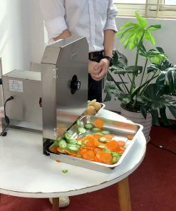 [REVIEW] Máy cắt rau củ đa chức năng - chi tiết máy 2