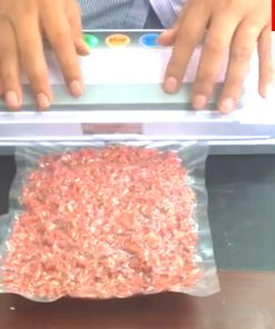 Máy Hút Chân Không Không Kén Túi SINBO DZ300SD