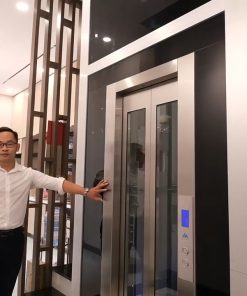 Thang máy gia đình Huy Hoàng nhập khẩu chất lượng và thẩm mỹ
