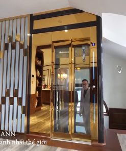 Thang máy gia đình Kleemann tại Green Pearl Minh Khai