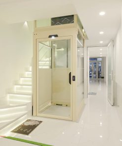 Thang máy gia đình dùng điện 1 pha - Lắp trong 10 ngày