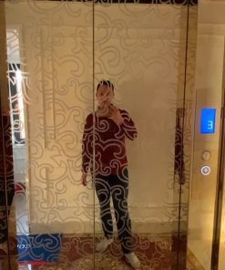 Thang máy kính gia đình 450kg sử dụng khung thép sơn tĩnh điện và ốp inox gương vàng sang trọng