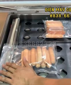 Máy hút chân không giá rẻ cho hộ gia đình - chi tiết máy 3