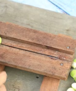 Thử Nghiệm Tách Vỏ Hạt Sen Tại Nhà