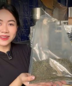 Thử thách hút 11 loại sản phẩm với máy hút chân không vòi ngoài VS800 - chi tiết máy 2