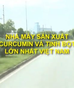 Nano Curcumin – Tinh bột nghệ chất lượng cao - chi tiết máy 2