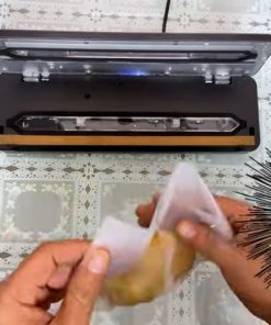 Máy hút chân không gia đình W231