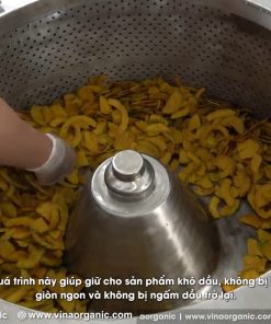 Máy chiên chân không bí đao giải pháp sản xuất snack giòn xốp - chi tiết máy 2
