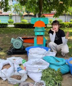 Máy Ép Cám Viên S250 Tự Làm Cám Tại Nhà Chi Phí 350Kg/Giờ