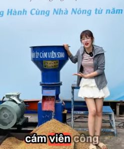 Máy ép cám viên F300 - chi tiết máy 4