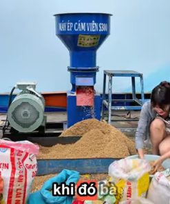 Máy Ép Cám Viên S300 Năng Suất Nửa Tấn Mỗi Giờ Sẽ Làm Ra Cám Viên Cho Bao Nhiêu Vật Nuôi Ăn