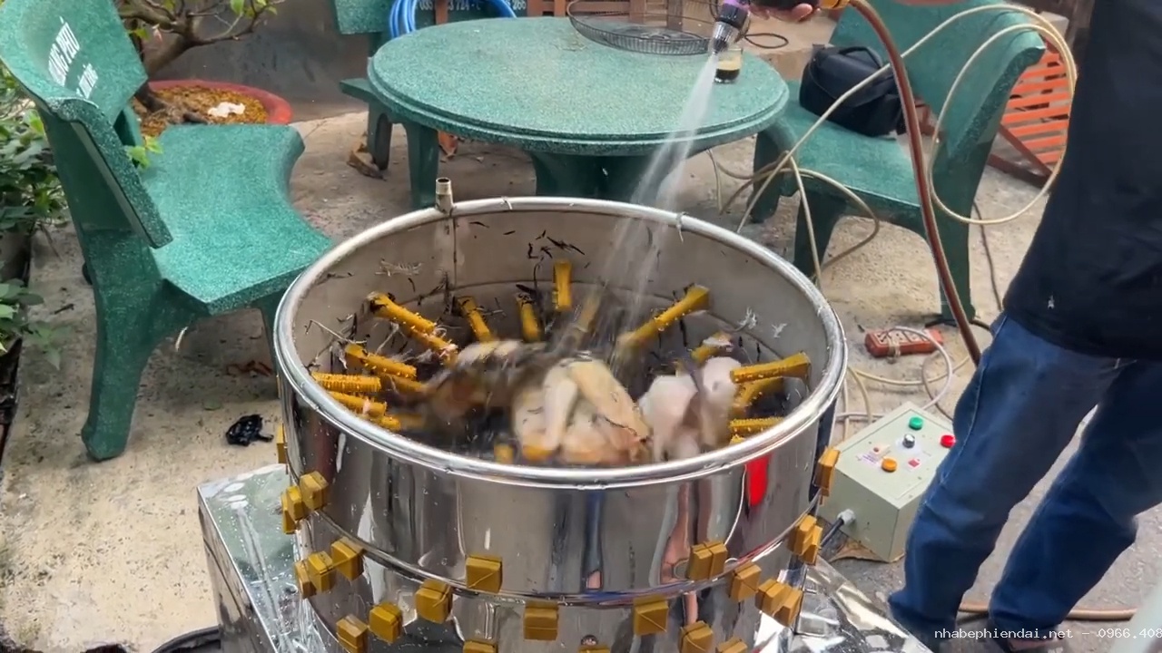 Cách sử dụng máy vặt lông gà vịt đúng kỹ thuật
