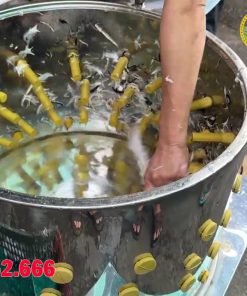 Máy vặt lông gà vịt phi 60 giá rẻ - chi tiết máy 2