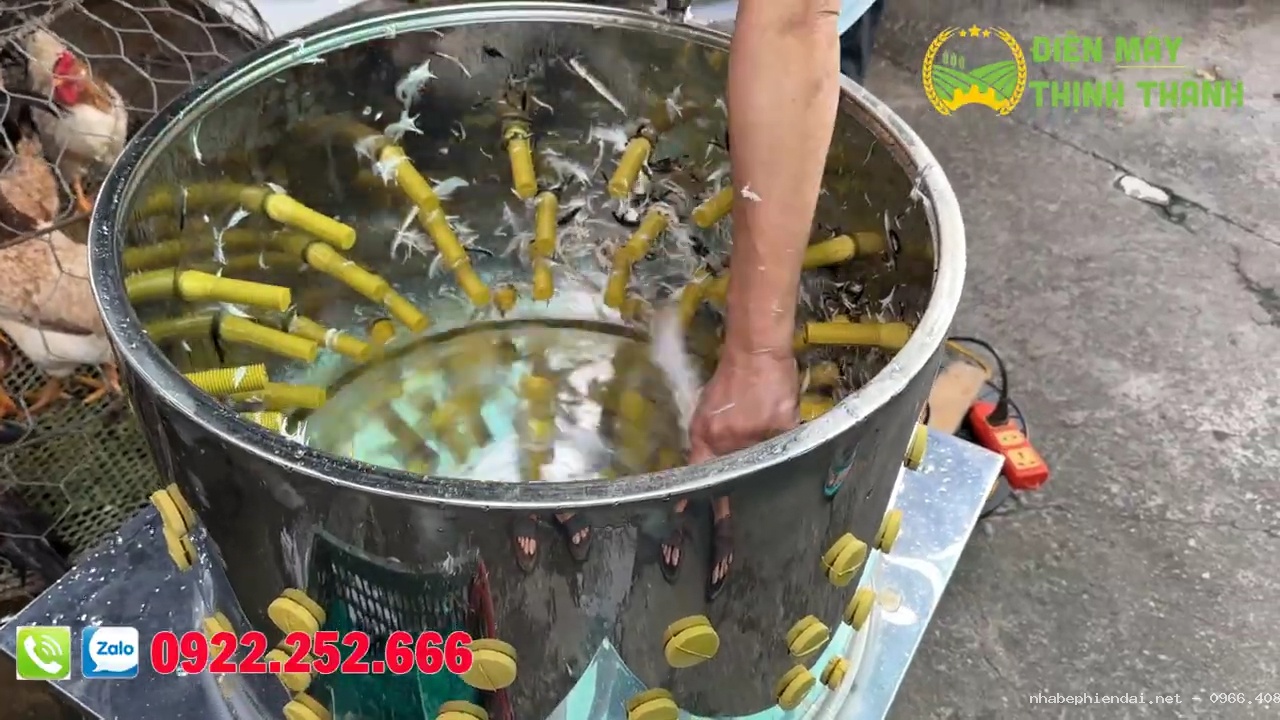 Máy vặt lông gà vịt phi 60 giá rẻ