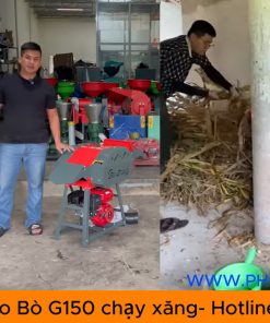 Máy băm cỏ voi cho bò G150 chạy xăng