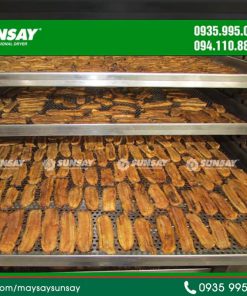 Sấy Chuối Nên Chọn Công Nghệ Sấy Nào? - chi tiết máy 2