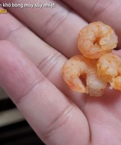 Tôm sú sấy thăng hoa, hải sản sấy thăng hoa khô xốp màu đẹp giữ hương vị tự nhiên - chi tiết máy 2