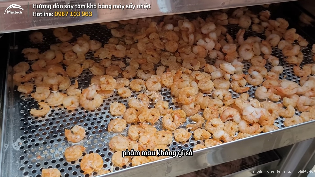 Tôm sú sấy thăng hoa, hải sản sấy thăng hoa khô xốp màu đẹp giữ hương vị tự nhiên