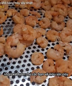 Tôm sú sấy thăng hoa, hải sản sấy thăng hoa khô xốp màu đẹp giữ hương vị tự nhiên