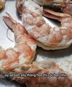 Tôm sấy thăng hoa sấy khô cao cấp nhất hiện nay - chi tiết máy 2