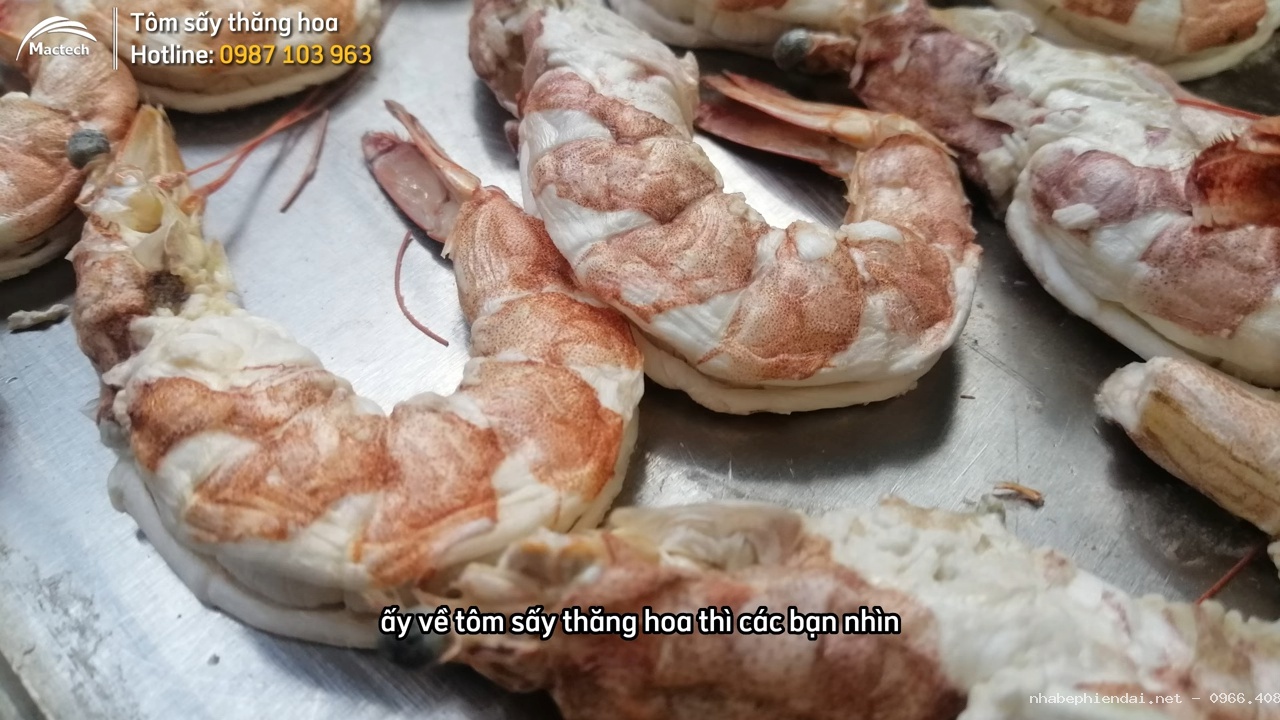 Tôm sấy thăng hoa sấy khô cao cấp nhất hiện nay