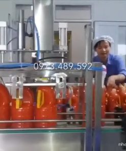 Dây Truyền Đóng Chai Tương Ớt, Chiết Rót Và Dập Nắp Tương Ớt