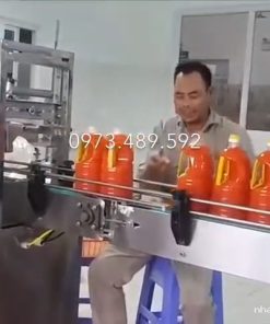 Dây Truyền Đóng Chai Tương Ớt, Chiết Rót Và Dập Nắp Tương Ớt - chi tiết máy 2