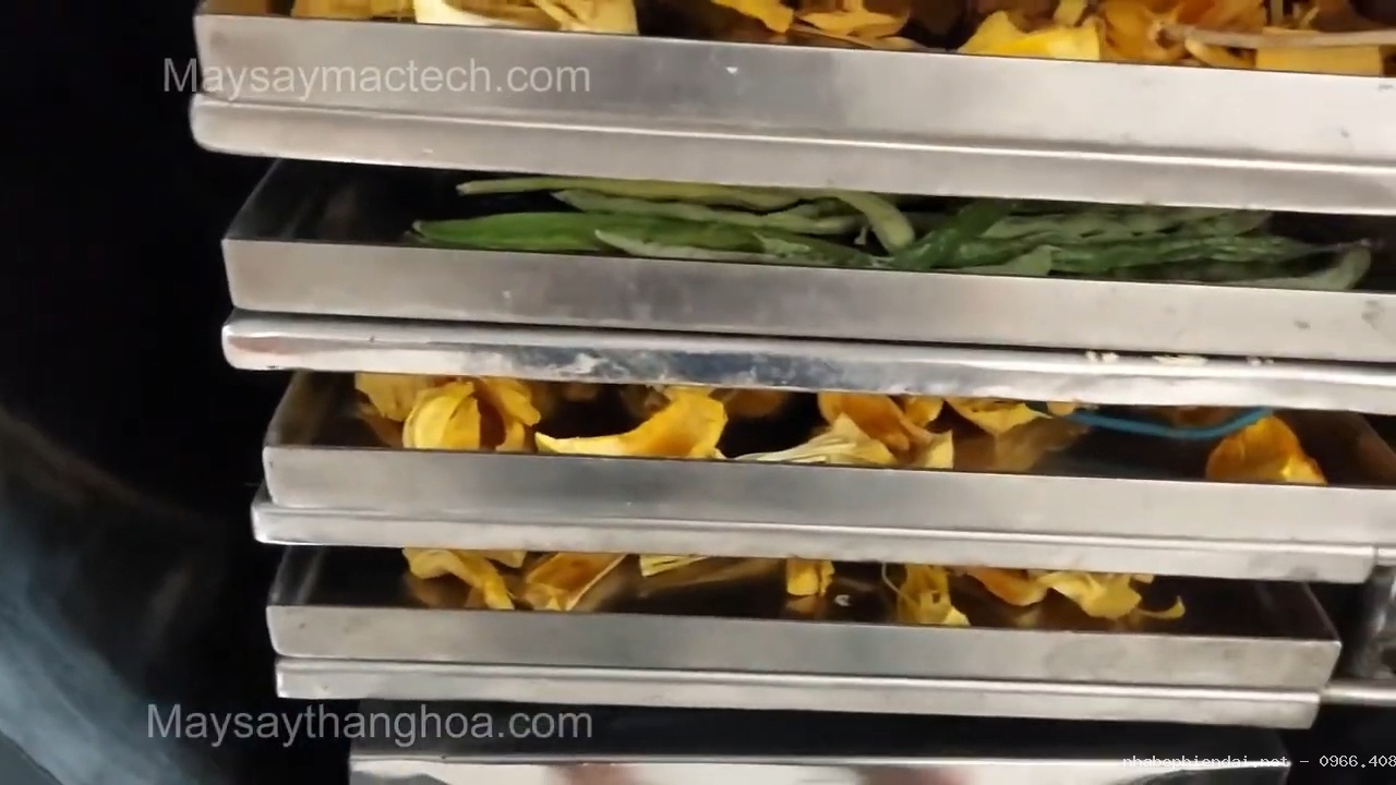 Mít sấy thăng hoa khô giòn nguyên hình dạng, nguyên màu