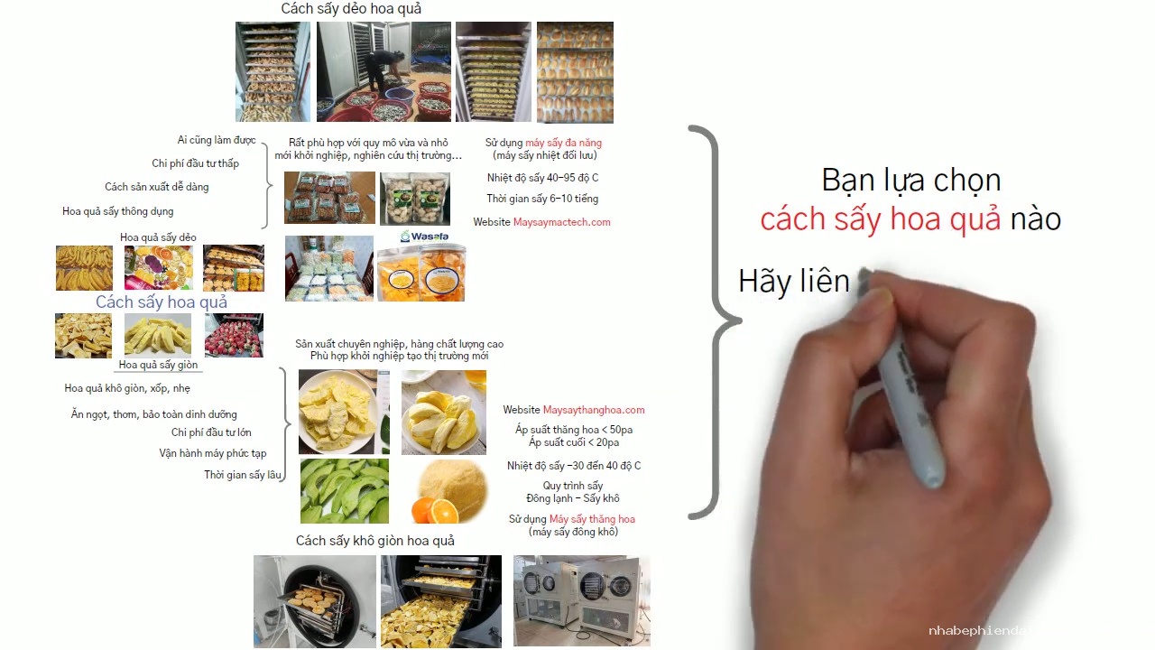 Cách sấy hoa quả khô dẻo, khô giòn và chọn máy sấy hoa quả