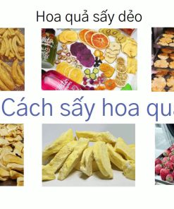Cách sấy hoa quả khô dẻo, khô giòn và chọn máy sấy hoa quả