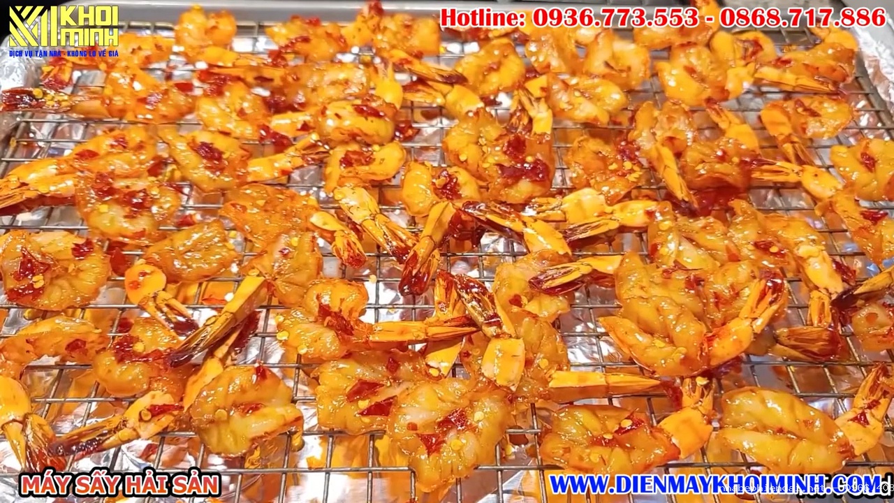 Máy sấy hải sản gia đình và công nghiệp tốt nhất