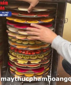 Máy sấy hoa quả 16 khay xoay sấy thực phẩm, dược liệu và hải sản