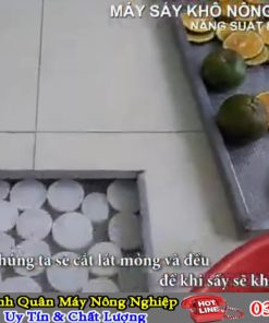 Máy sấy nông sản đa năng Bình Quân sấy khô, sấy giòn, sấy dẻo - chi tiết máy 2