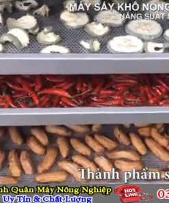 Máy sấy nông sản đa năng Bình Quân sấy khô, sấy giòn, sấy dẻo - chi tiết máy 4