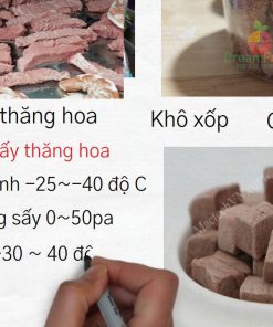 Thịt bò sấy thăng hoa miếng xốp, giòn, không co ngót - chi tiết máy 2