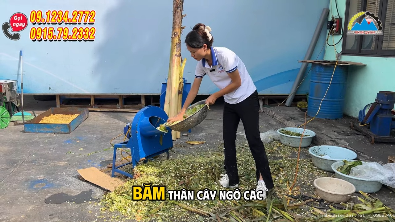 Máy băm chuối xả thẳng 1,5 kW băm chuối, rau cỏ, thân ngô