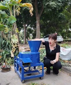 Máy băm chuối giá rẻ 1 đến 2 triệu - chi tiết máy 2