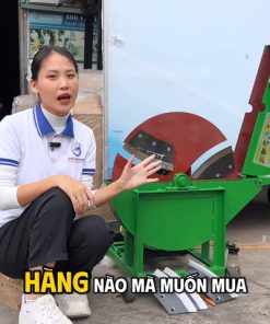 Giá Máy Băm Chuối C600 Là Bao Nhiêu - chi tiết máy 3