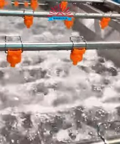 Khám Phá Máy Rửa Rau Củ Quả Công Nghiệp - chi tiết máy 2